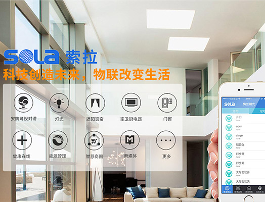 第十三屆全國人大指出“發(fā)展智能產(chǎn)業(yè)，拓展智能生活”